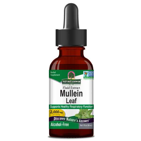 Nature's Answer, Mullein, 2000mg, 30ml