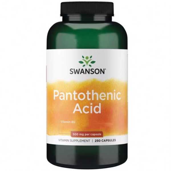 Swanson, Pantothenic Acid, 500mg, 250 Kapseln