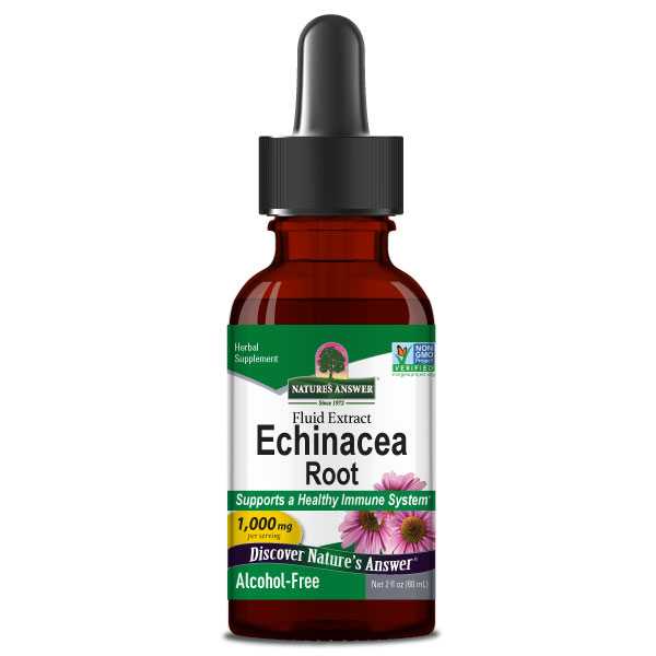 Nature's Answer, Echinacea Root (Sonnenhut), Alcohol-Free, 1000mg